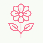 Essential Bloom