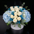 Elegant White Round Flower Box with White Roses & Blue Hydrangeas bloomsandbeansae