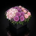 Elegant Black Square Flower Box with Pink Roses, Purple Chrysanthemums & Pink Hydrangea bloomsandbeansae