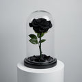 Black Medium Preserved Rose