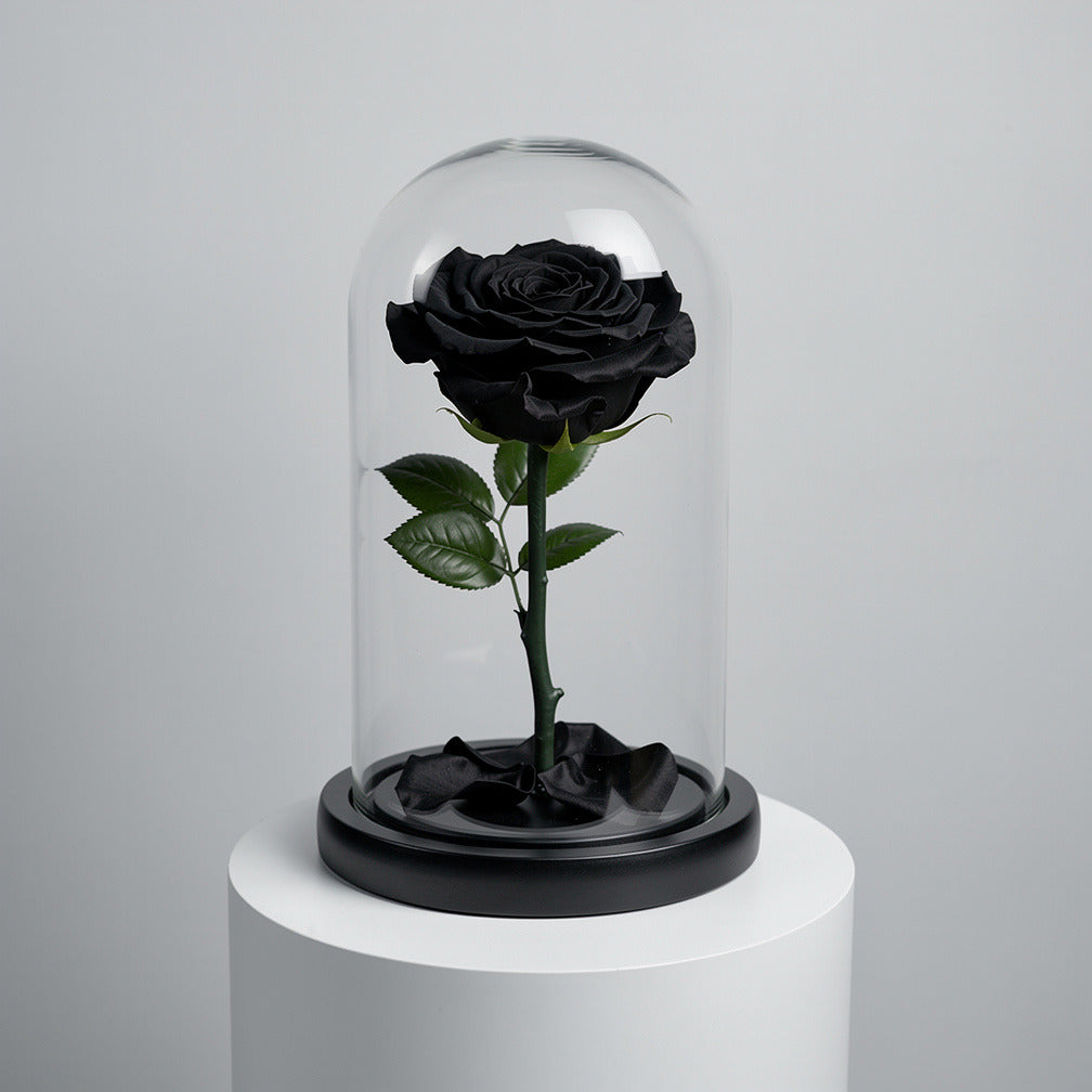 Black Medium Preserved Rose