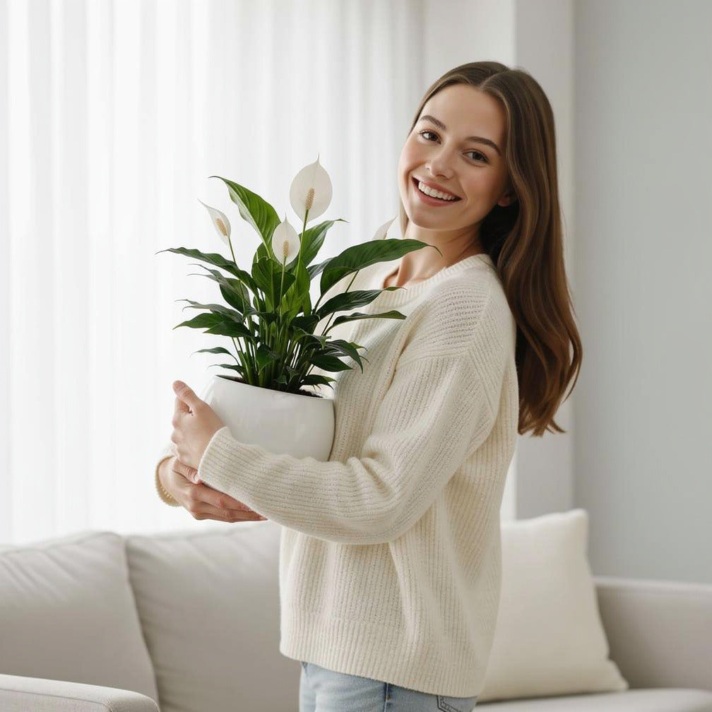 Elegant Peace Lily Plant held by a model, view 1