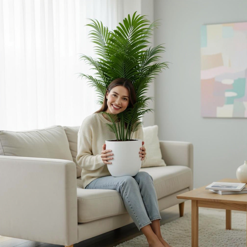 Elegant Small Palm Plant held by a model, view 3