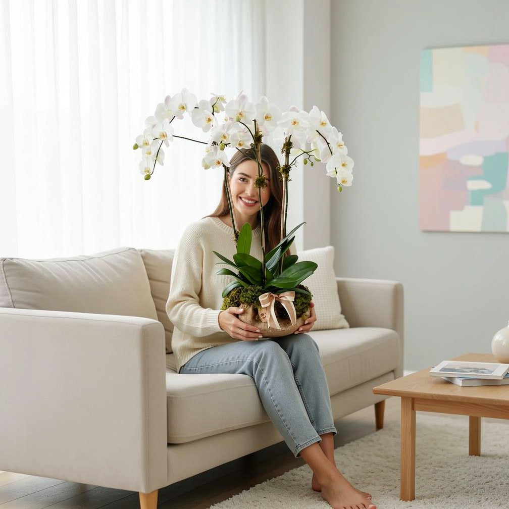 Elegant Trio White Orchids held by a model, view 3