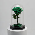 Green Medium Preserved Rose