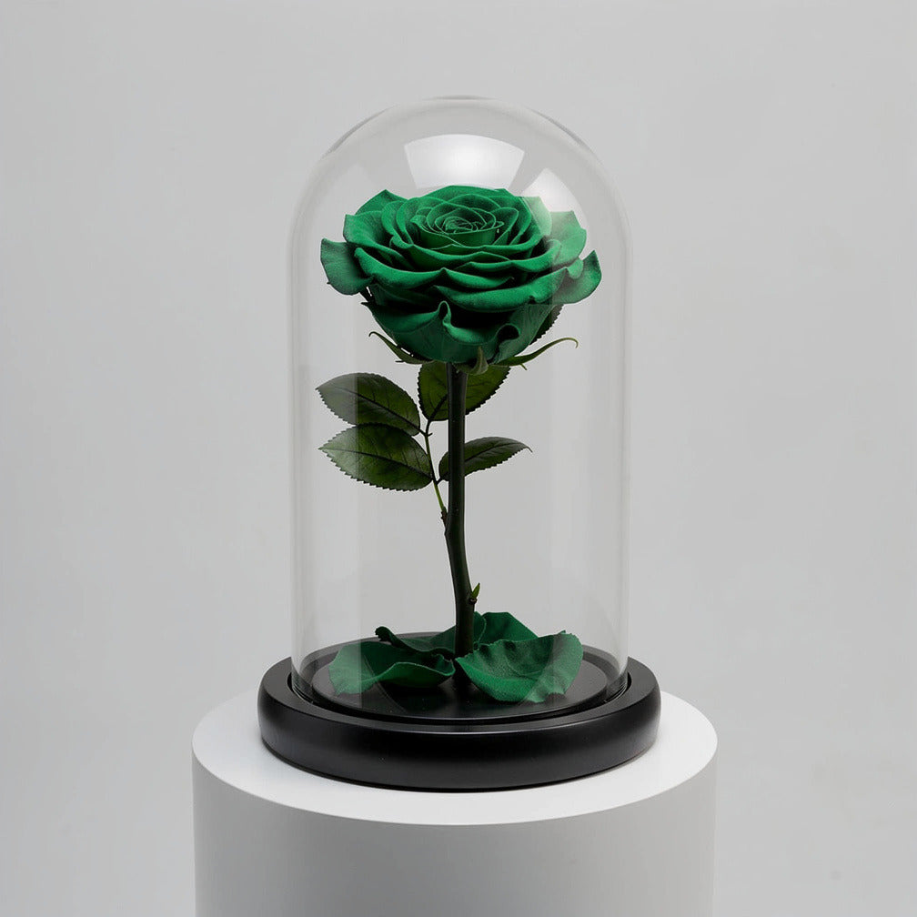 Green Medium Preserved Rose