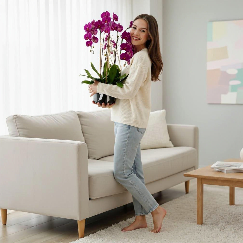 Luxury 7 Purple Orchids held by a model, view 2
