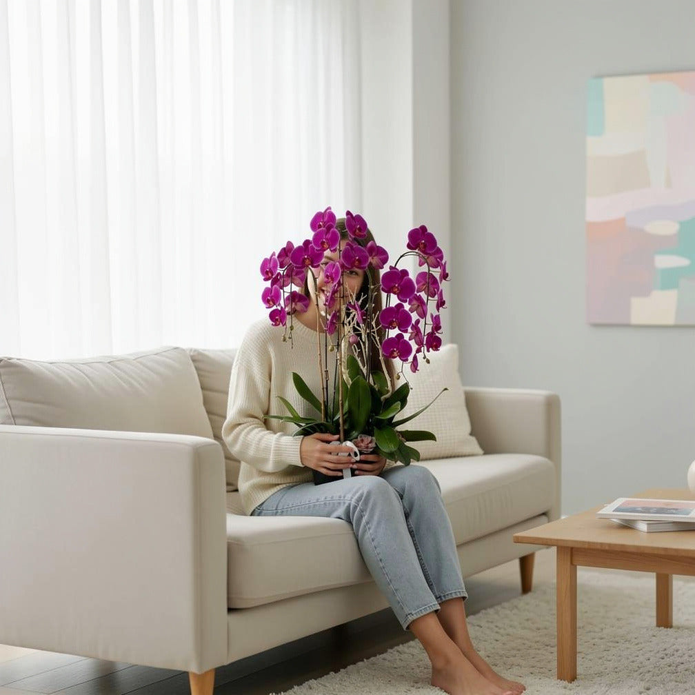 Luxury 7 Purple Orchids held by a model, view 3