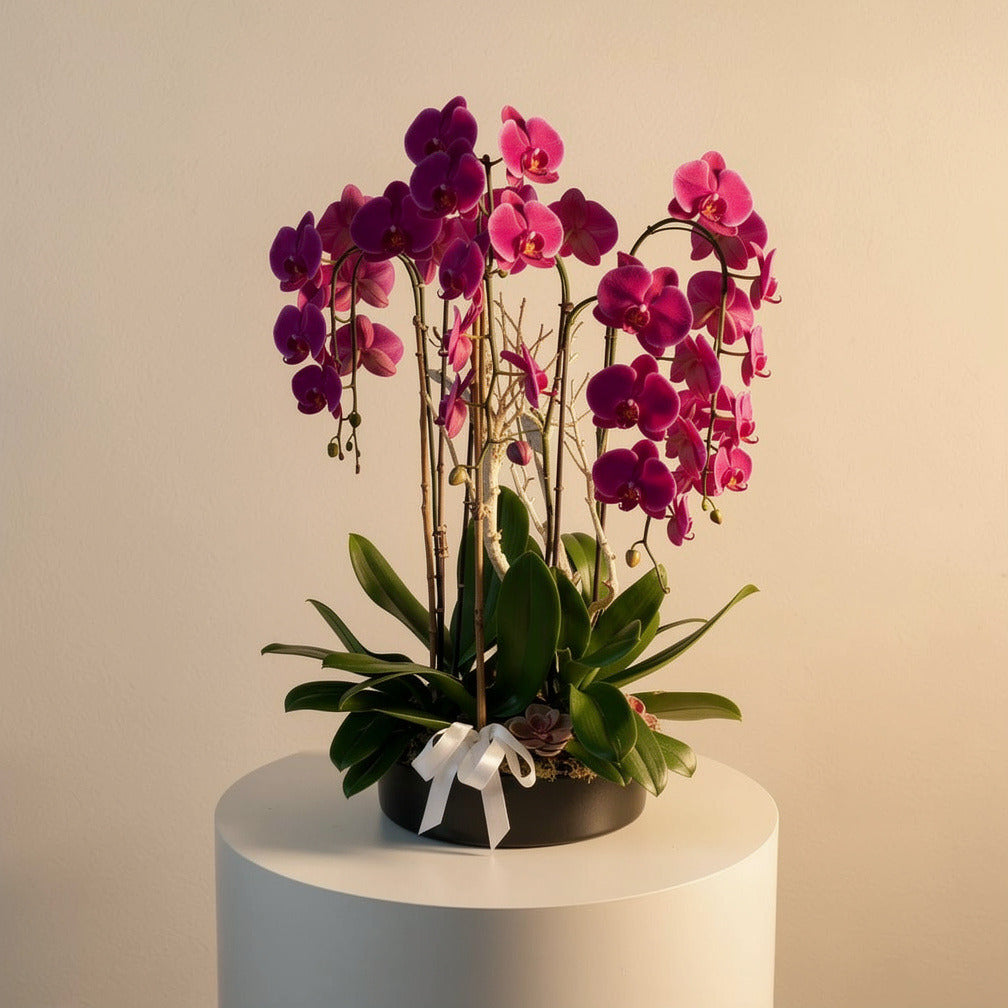 Luxury 7 Purple Orchids