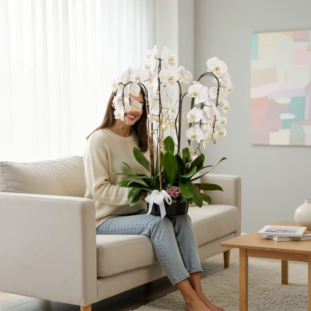 Luxury 7 White Orchids Plants held by a model, view 3