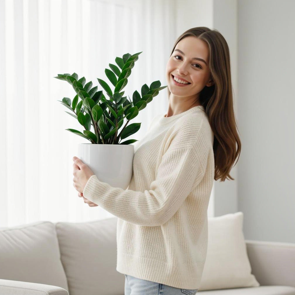 Minimalist ZZ Plant held by a model, view 1
