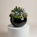 Modern Succulent Garden Pot