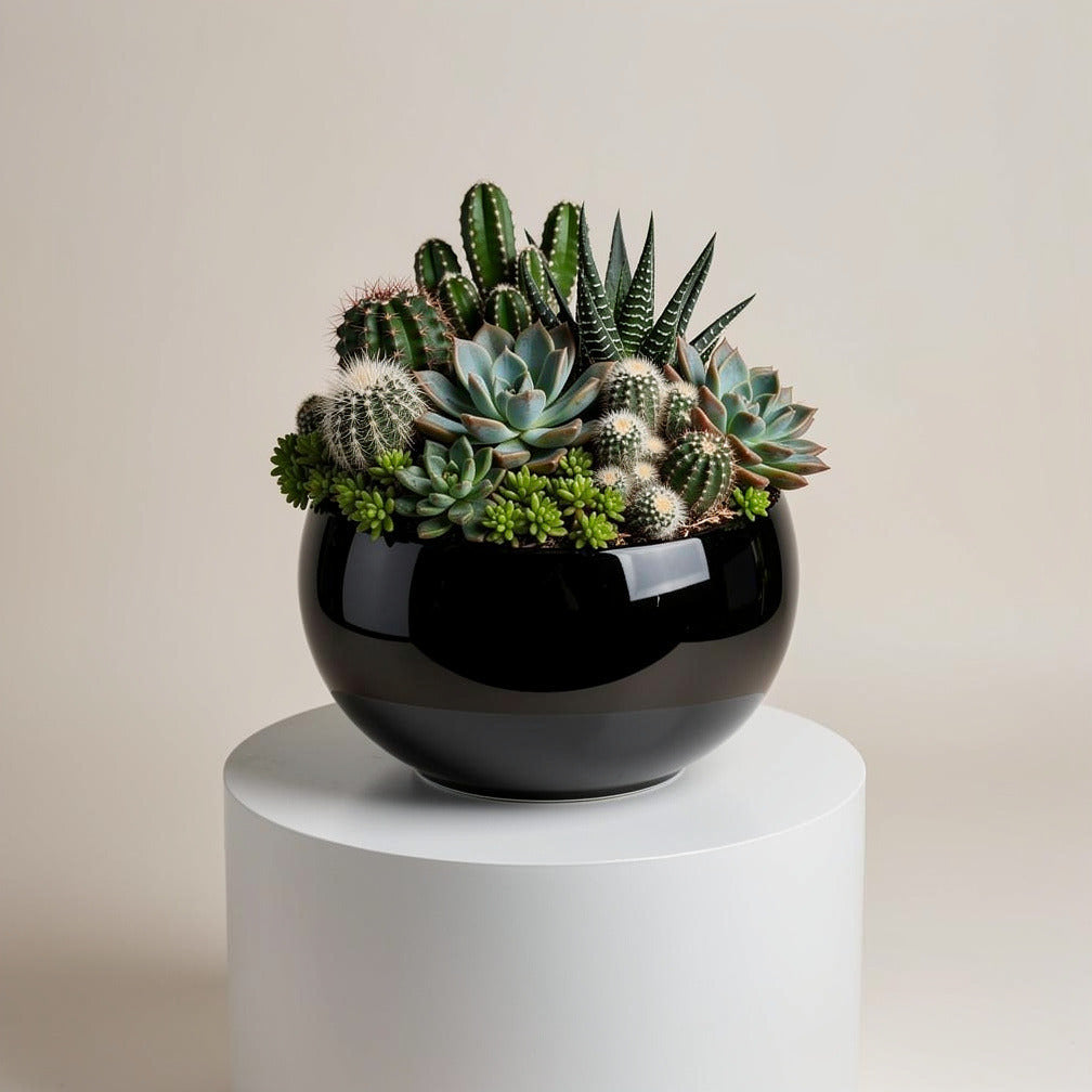 Modern Succulent Garden Pot