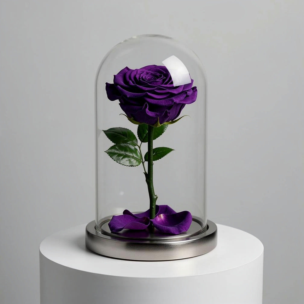 Purple Medium Preserved Rose