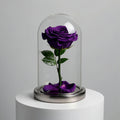 Purple Medium Preserved Rose