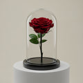 Red Medium Preserved Rose