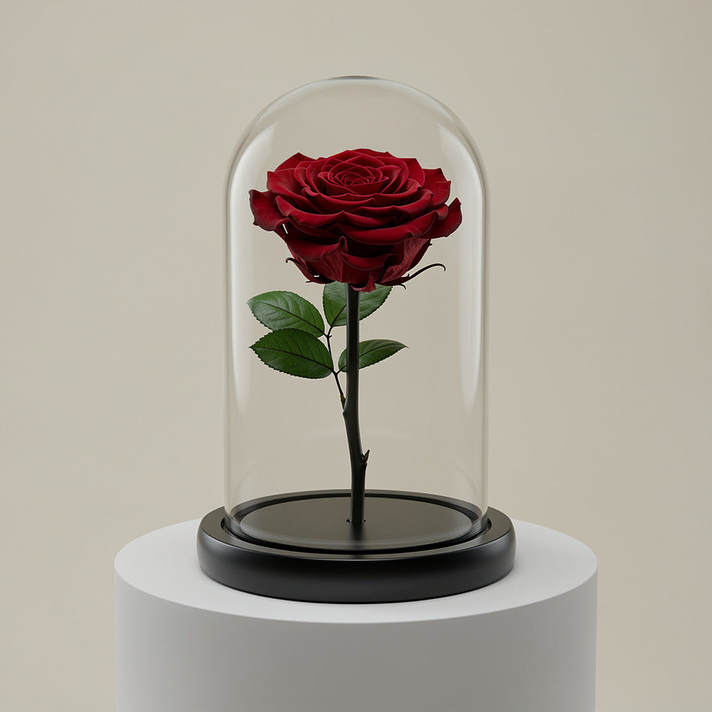 Red Medium Preserved Rose