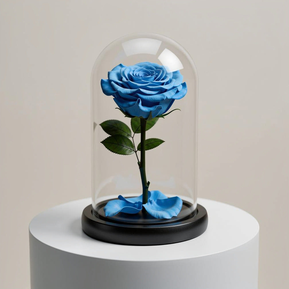 Sky Blue Medium Preserved Rose
