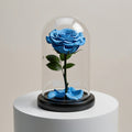 Sky Blue Medium Preserved Rose