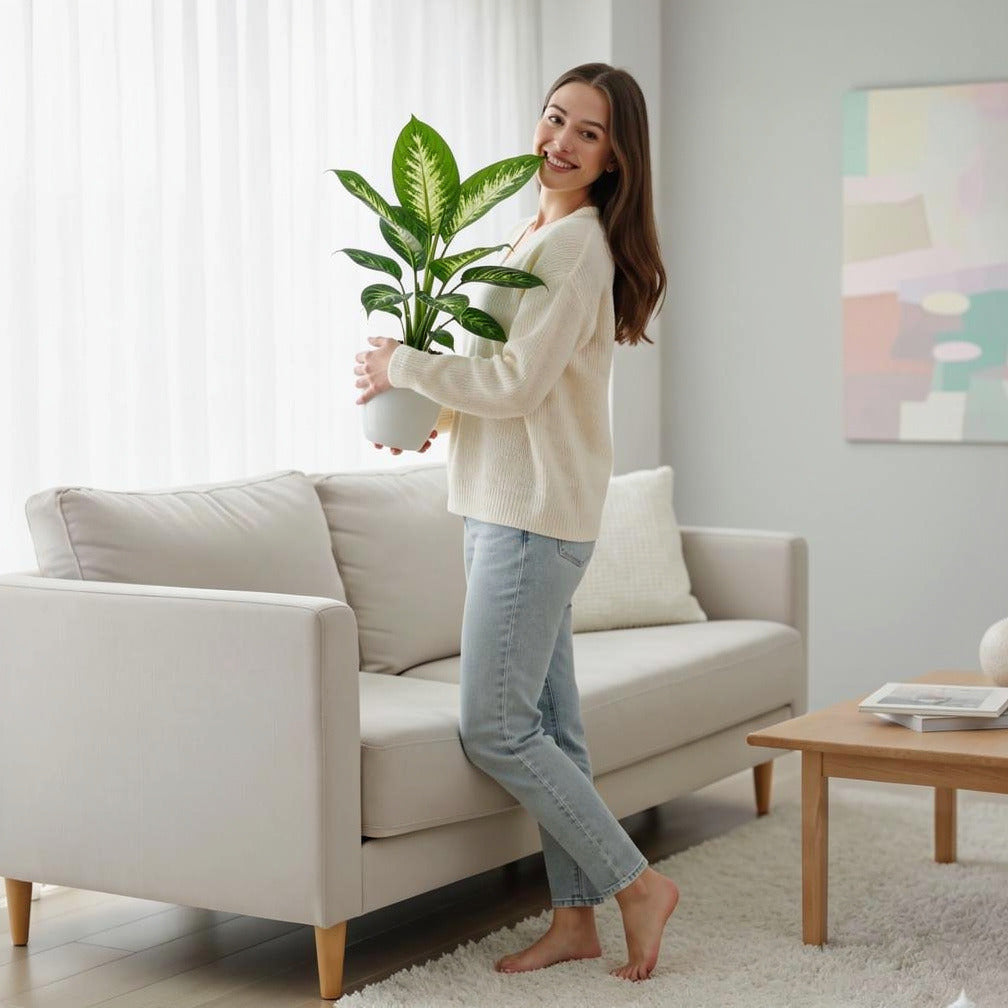 Tropical Dieffenbachia Plant held by a model, view 2
