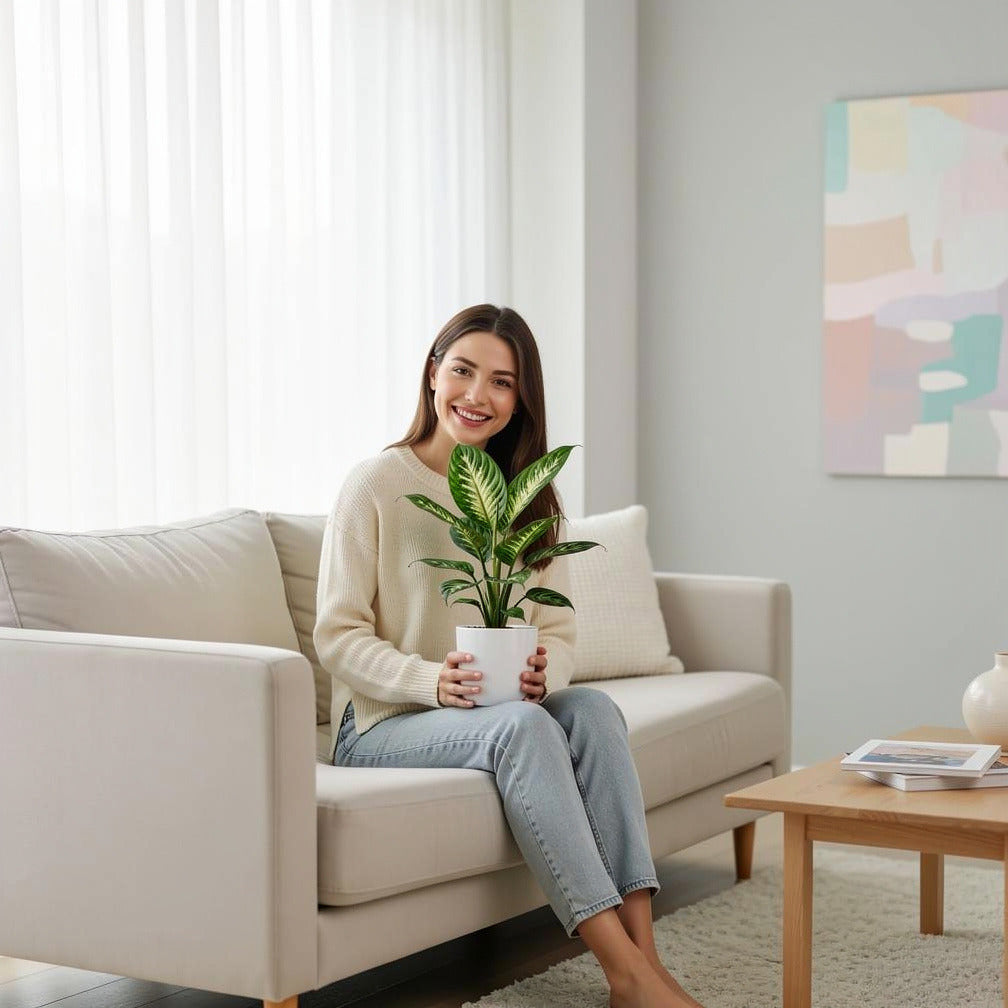 Tropical Dieffenbachia Plant held by a model, view 3