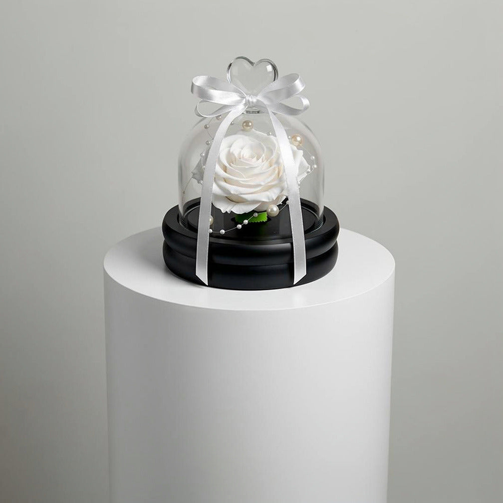 White Small Preserved Rose