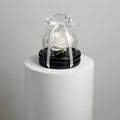 White Small Preserved Rose