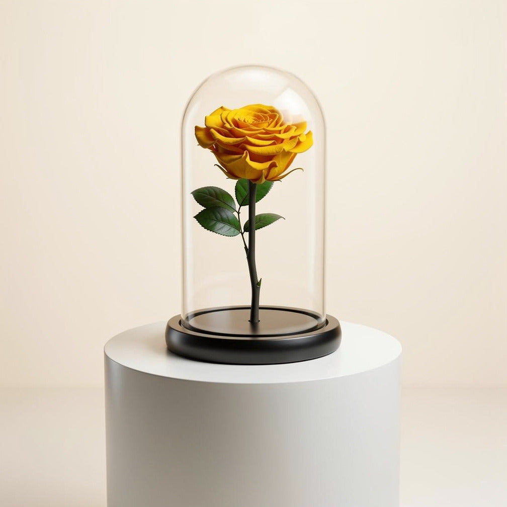 Yellow Medium Preserved Rose