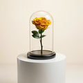Yellow Medium Preserved Rose